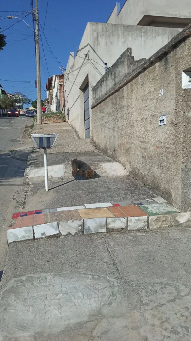 Captação de Casa a venda na Rua Soldado Valeriano de Almeida, Jardim Vitoria, Belo Horizonte, MG