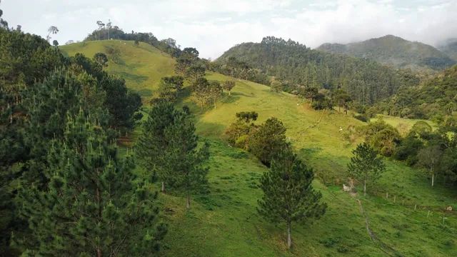 ANITÁPOLIS/SC - Belíssimo terreno com 40hectares  - Foto 5