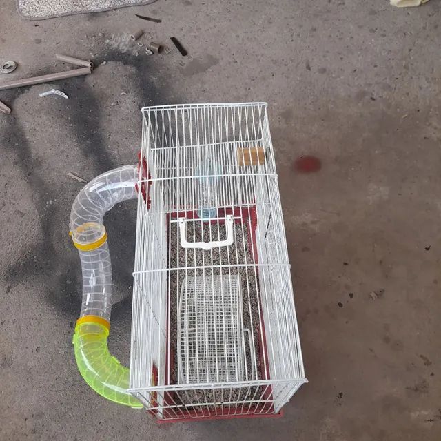 gaiola para roedores 