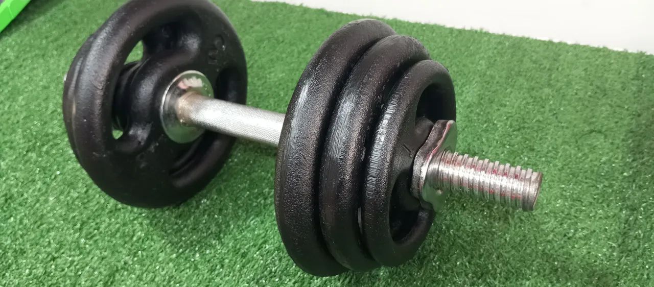 Halteres 12kg - Academia em casa
