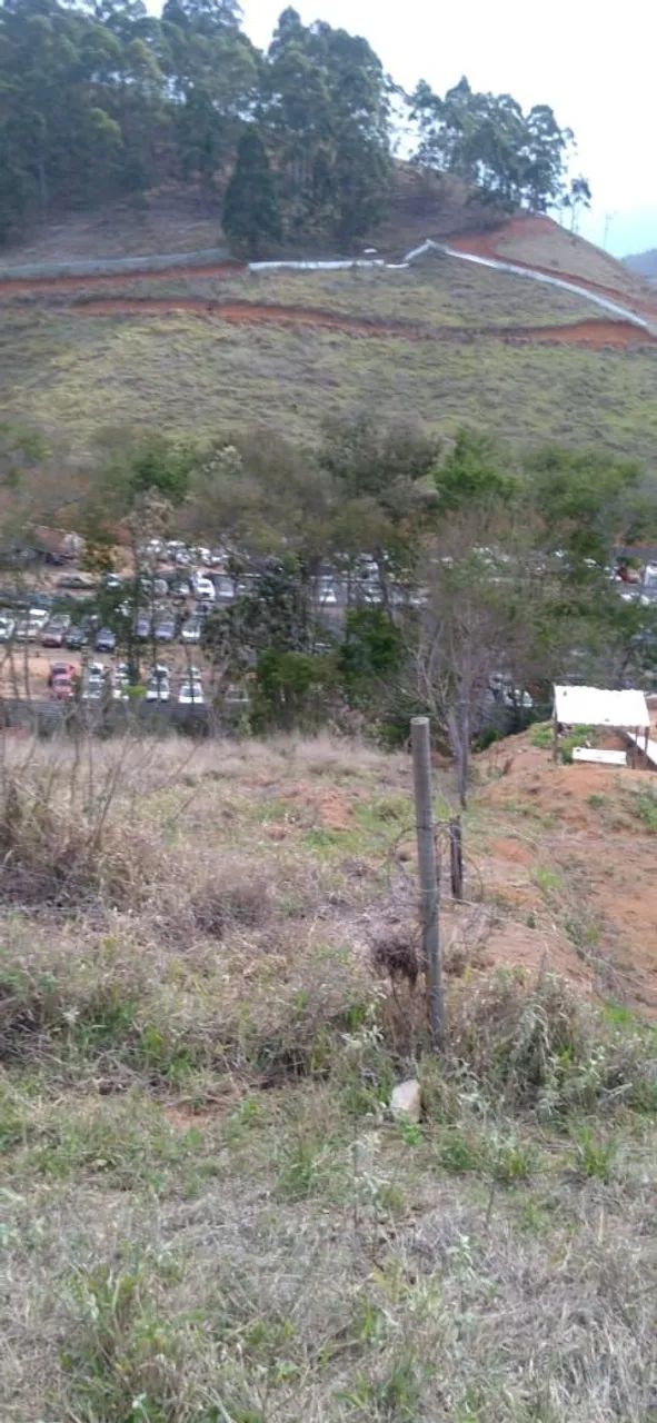 Terreno em Grama - Foto 3
