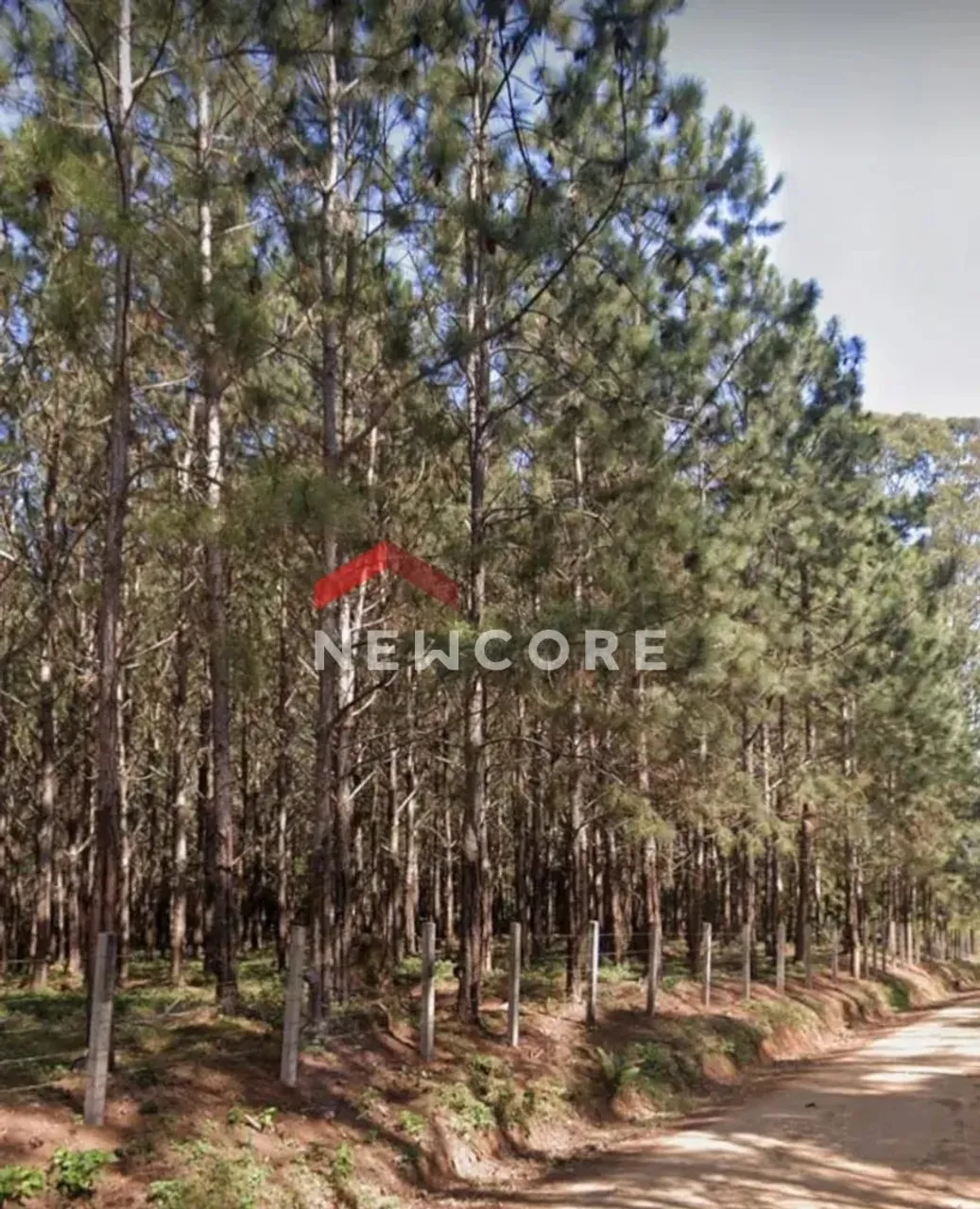Fazenda em Rodovia - Área Rural de São Miguel Arcanjo - São Miguel Arcanjo/SP