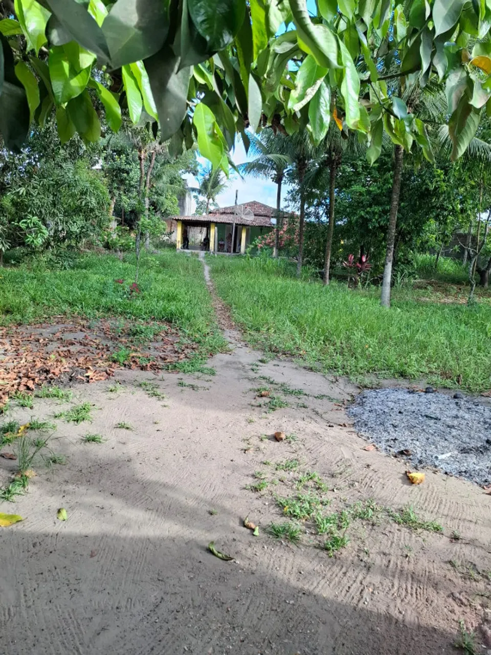 VENDO UMA EXCELENTE CHÁCARA NA VIA PRINCIPAL AO LADO DO NOVO BRASIL NO BAIRRO DA FORENE