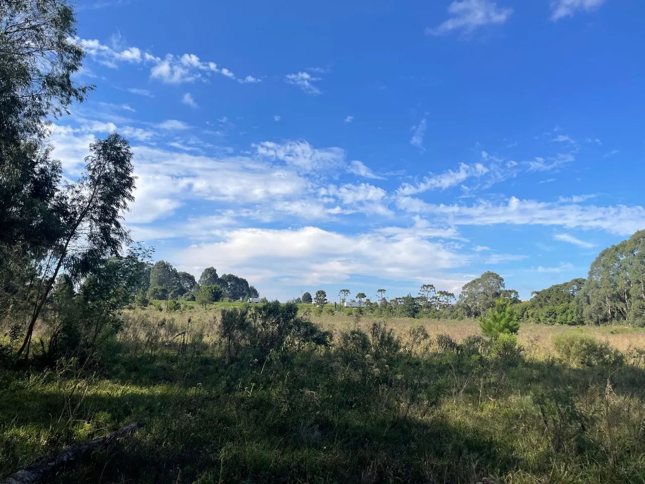 Terreno 10,77 hectares próximo de witmarsum a venda!  - Foto 3