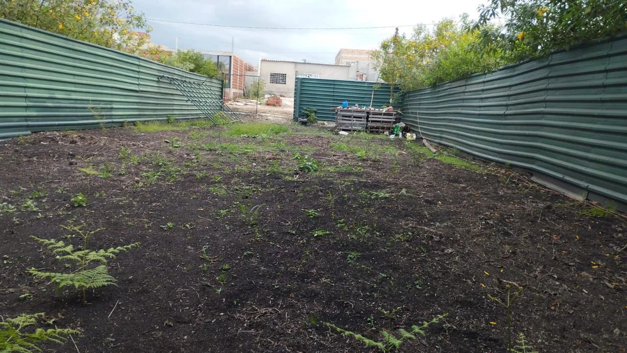 Foto - Brasília - Asa Sul