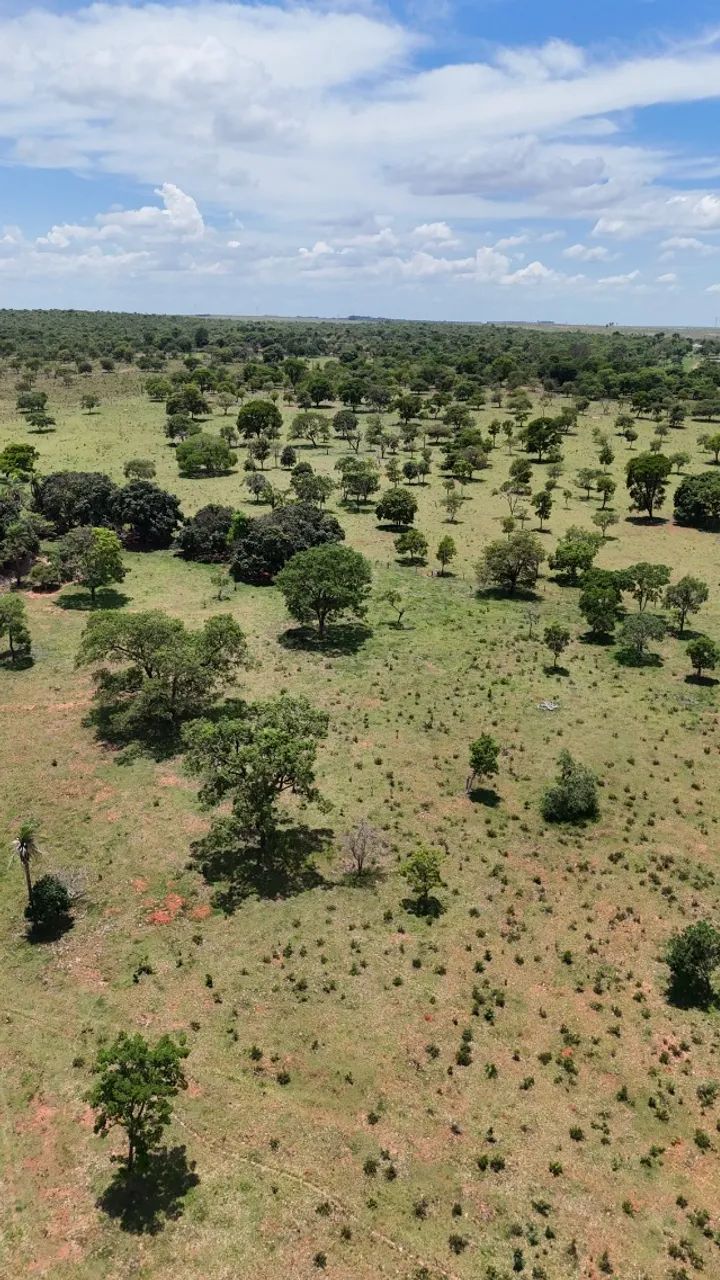 03 Chácaras Próxima a Campo Grande Juntas ou Separadas! - Foto 4