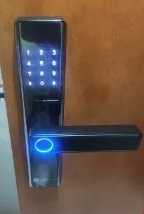 Digital Electronic Lock with Biometric and Password Functionality (New)