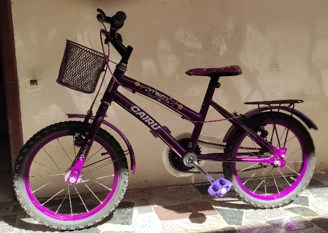 Bicicleta Infanto-Juvenil Aro 16 Cairu Flowers (violeta)