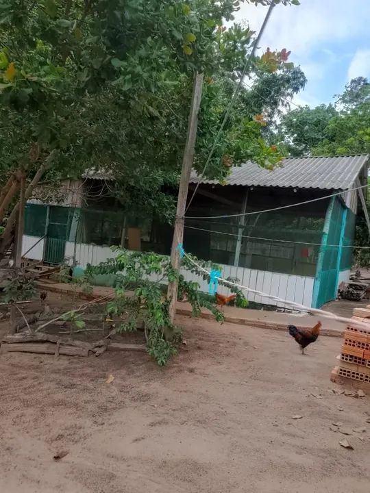 Sítio no Aramanaí  - Foto 2