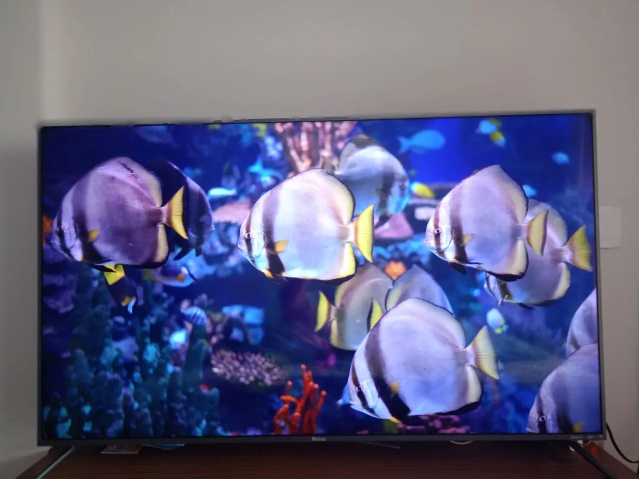 TV Philco 55 polegadas+ hack grátis  R$1.250,00