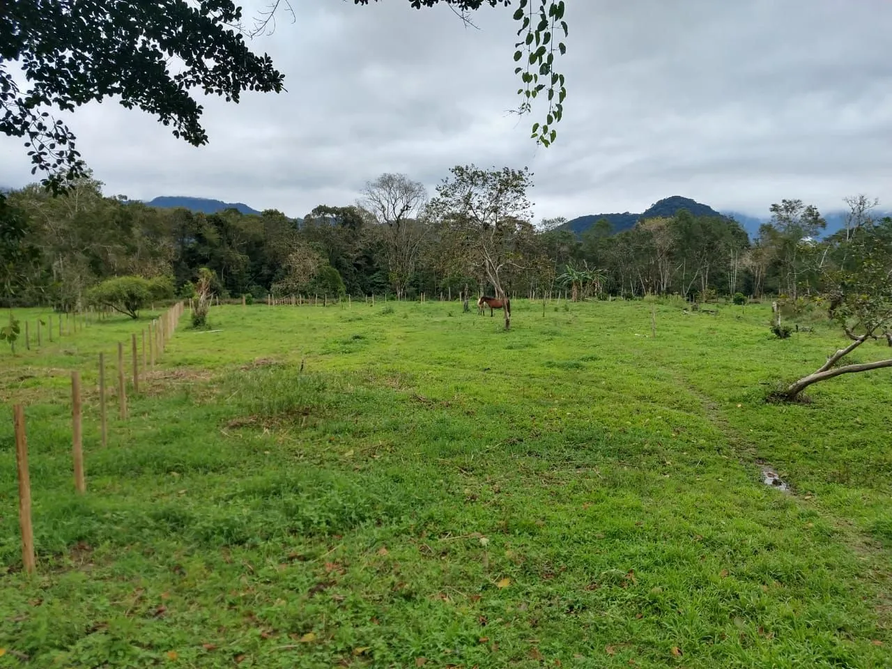 Terreno Rural