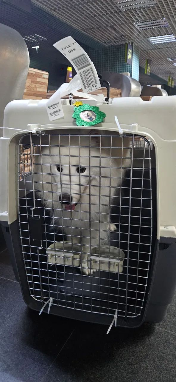 Transportadora para animais de estimação Tam. GG - Foto 5