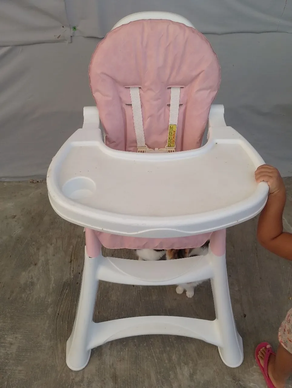 Cadeirinha da alimentação