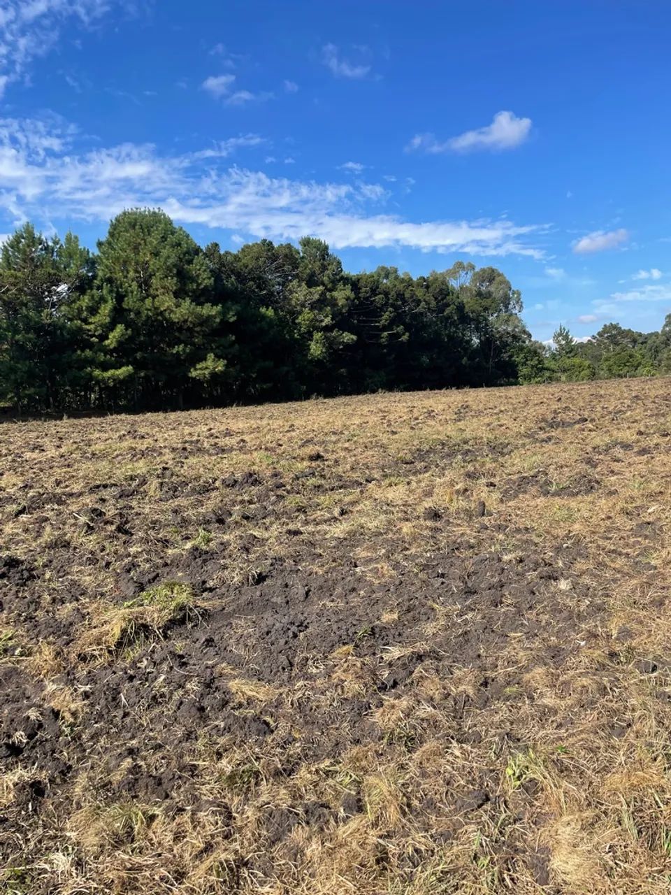 Terreno 10,77 hectares próximo de witmarsum a venda! 