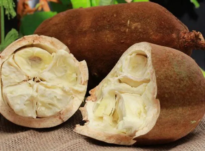 Polpa de cupuaçu