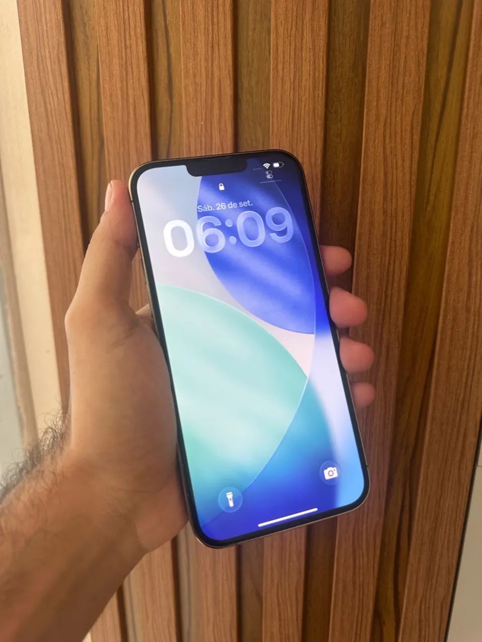 iPhone 13 Pro Max 256 - Foto 2