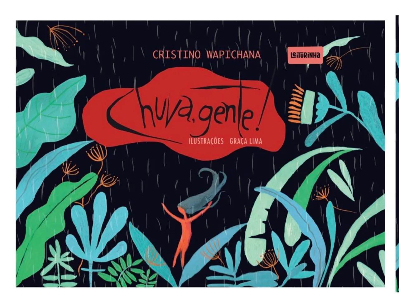 Livro Chuva gente 