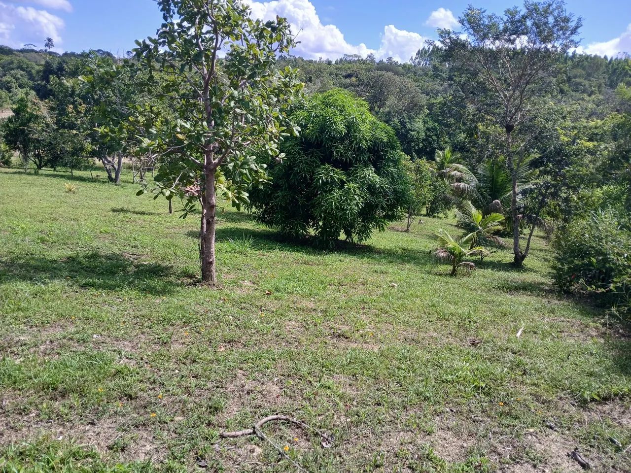 Vendo terreno em Catu Ba. - Foto 3