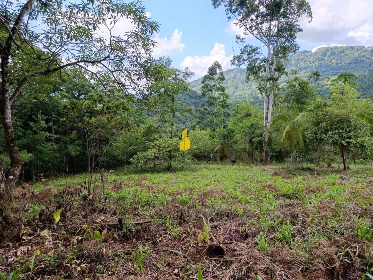 TERRENO NA CIDADE DE RIO DOS CEDROS/SC - Foto 5
