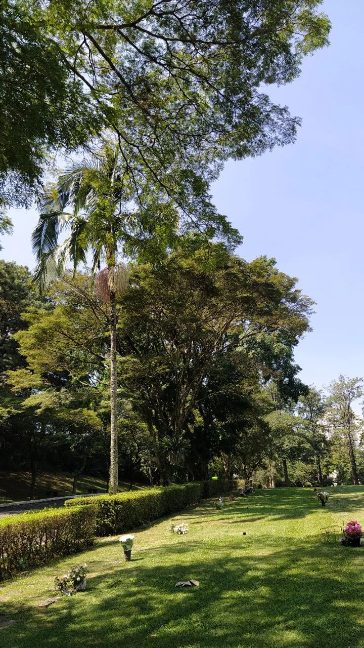 Jazigo no Cemitério de Congonhas - Foto 3
