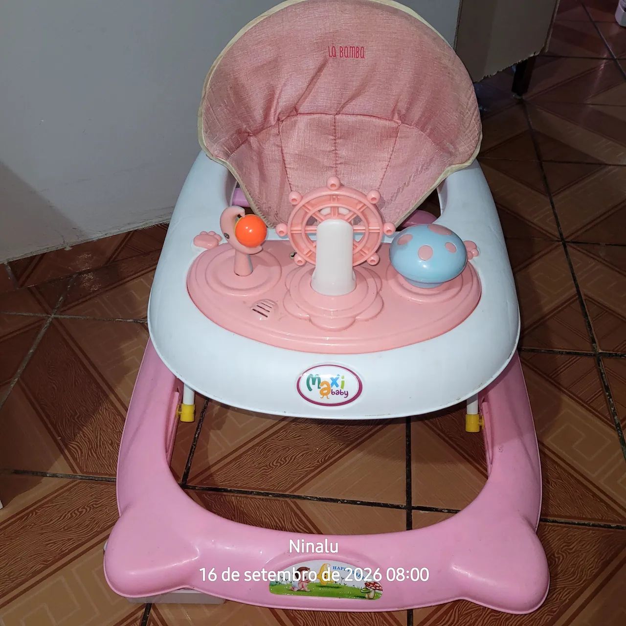 Carrinho  de passeio e andadeira - Foto 4