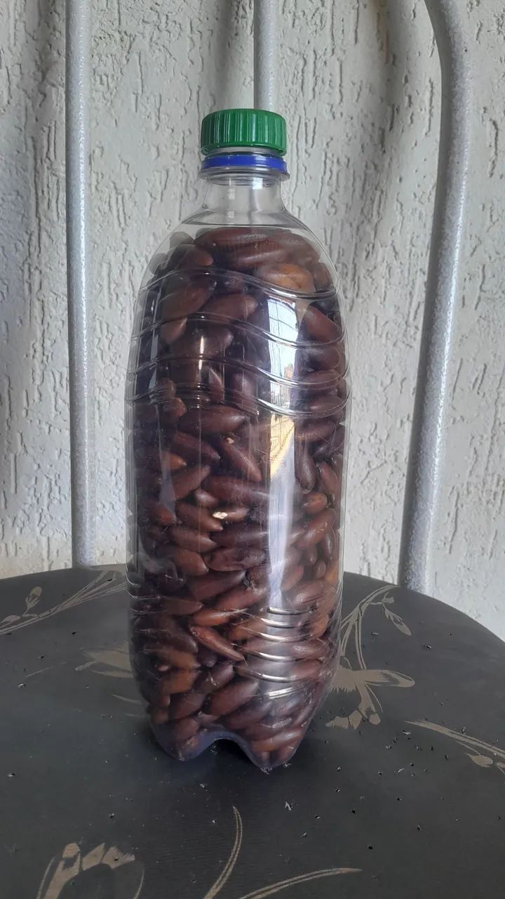 Castanha de Baru