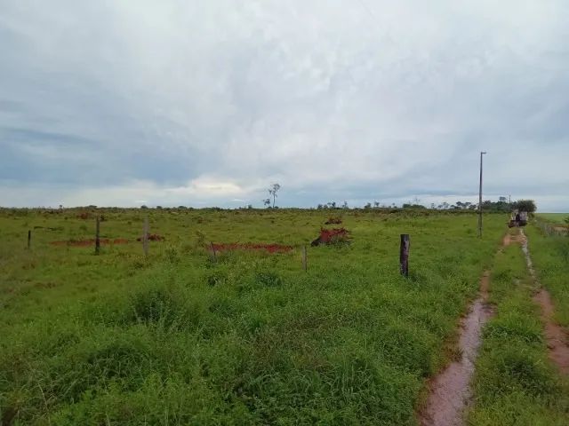 Sítio de 70ha em Nova Ubiratã