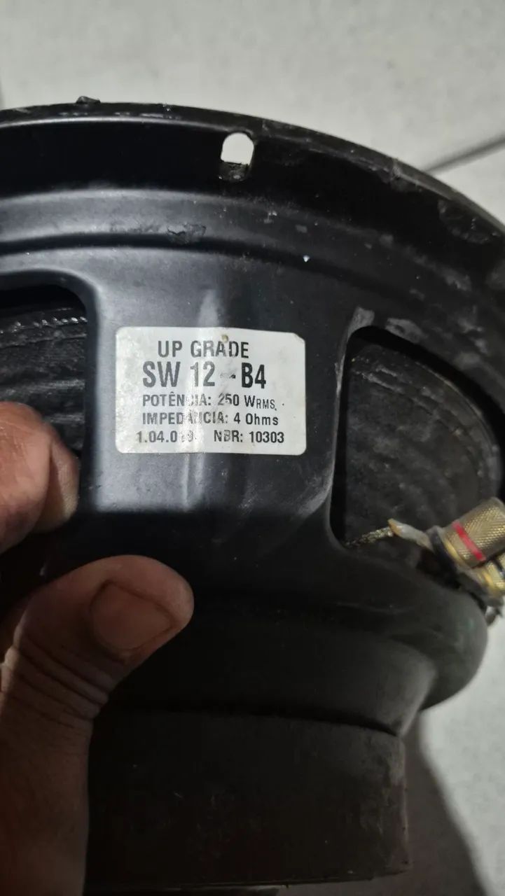 Subwoofer 12 polegas 250Wrms