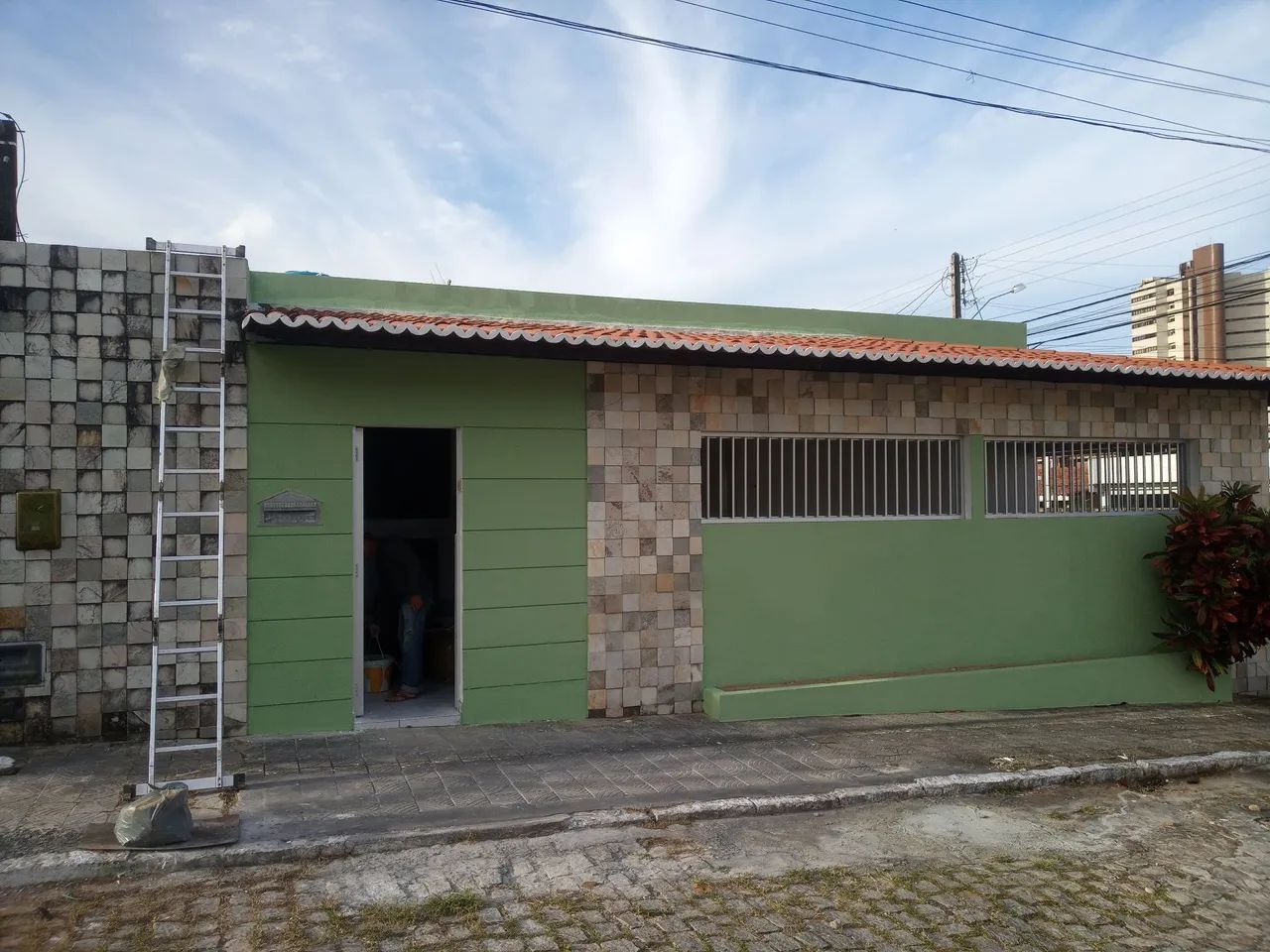 Pintor profissional - Foto 4