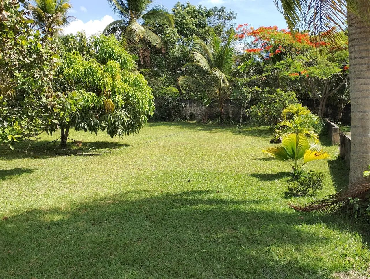 Chácara Paraíso em Aldeia  - Foto 4