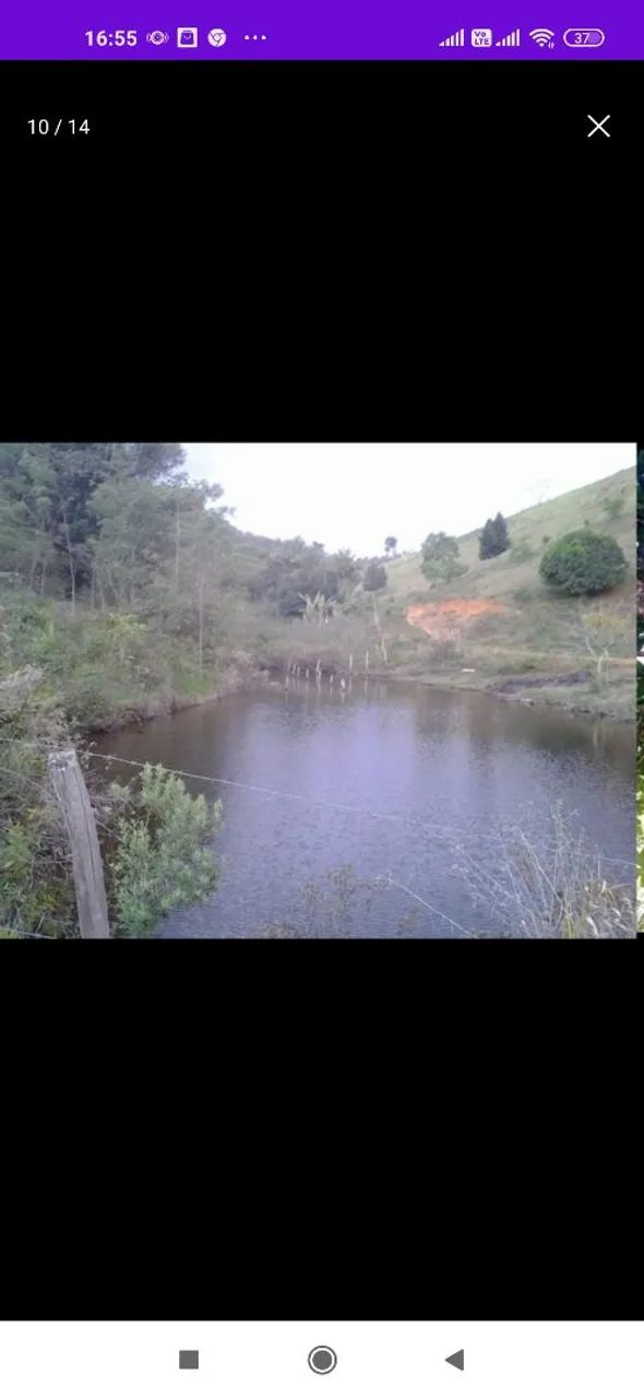 Sítio com pomar/roça de cacau 5 hectares em Itajurú.  - Foto 10