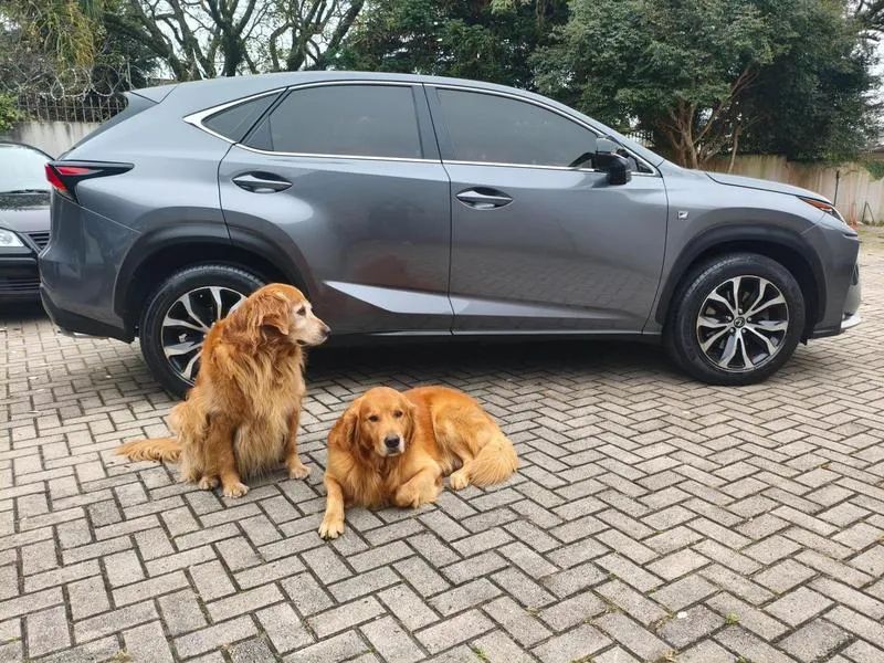 Lexus Nx-200T 2016
