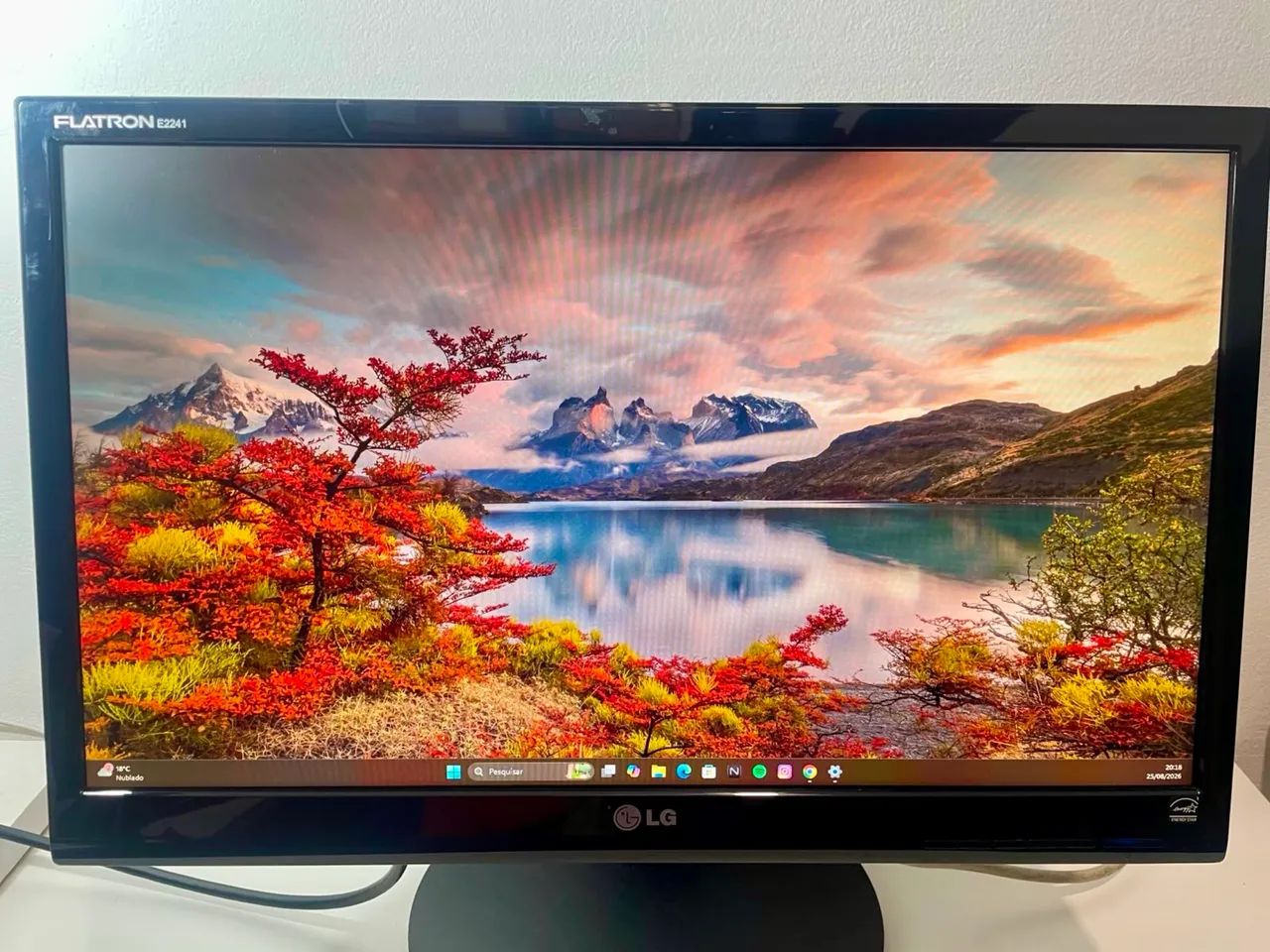 Monitor LG 22 polegadas 