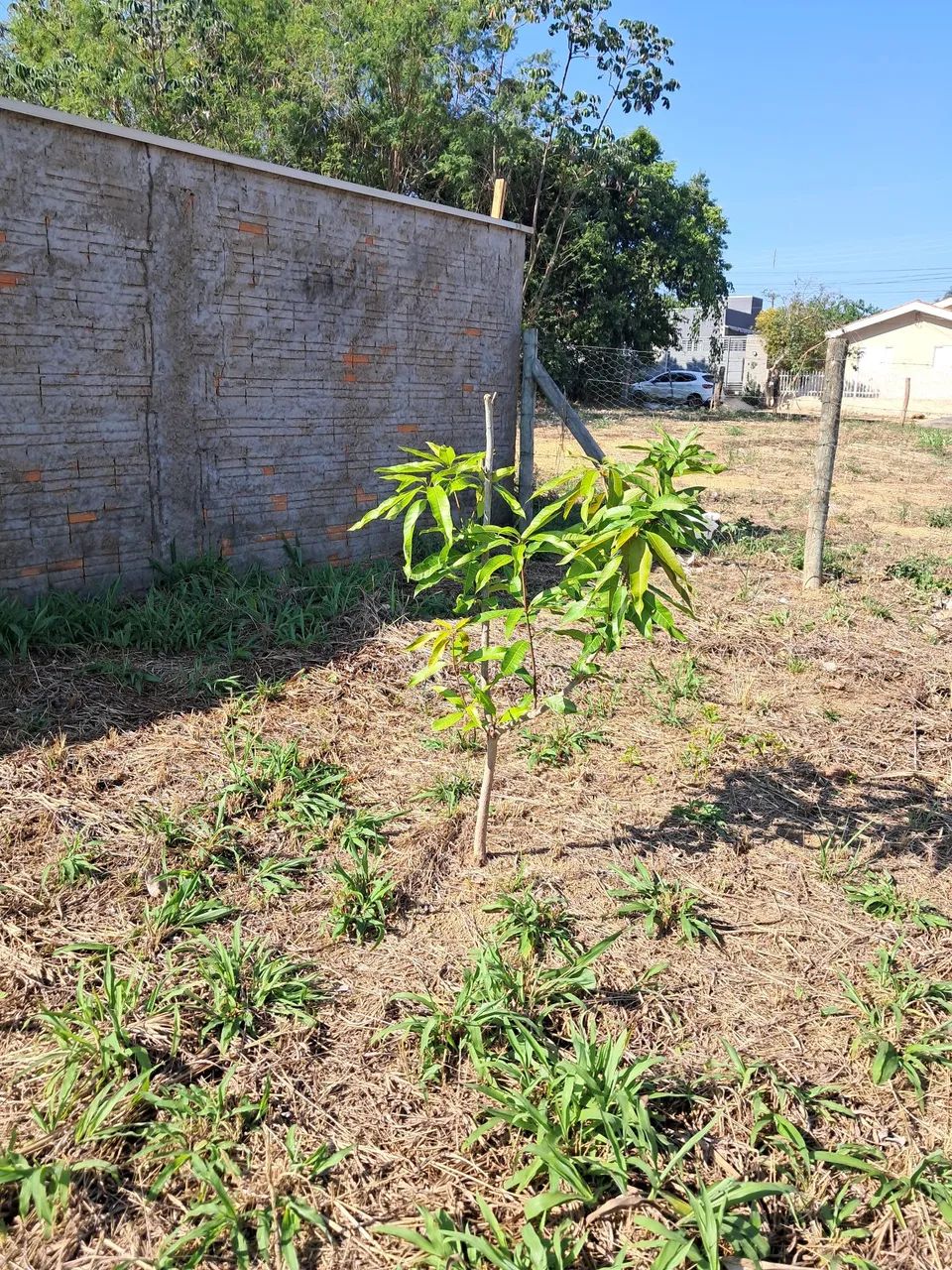 Terreno excelente em Chapada dos Guimarães, Mato Grosso - Foto 4