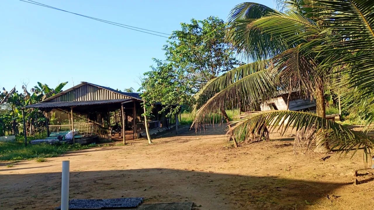 Granja completa - Foto 4