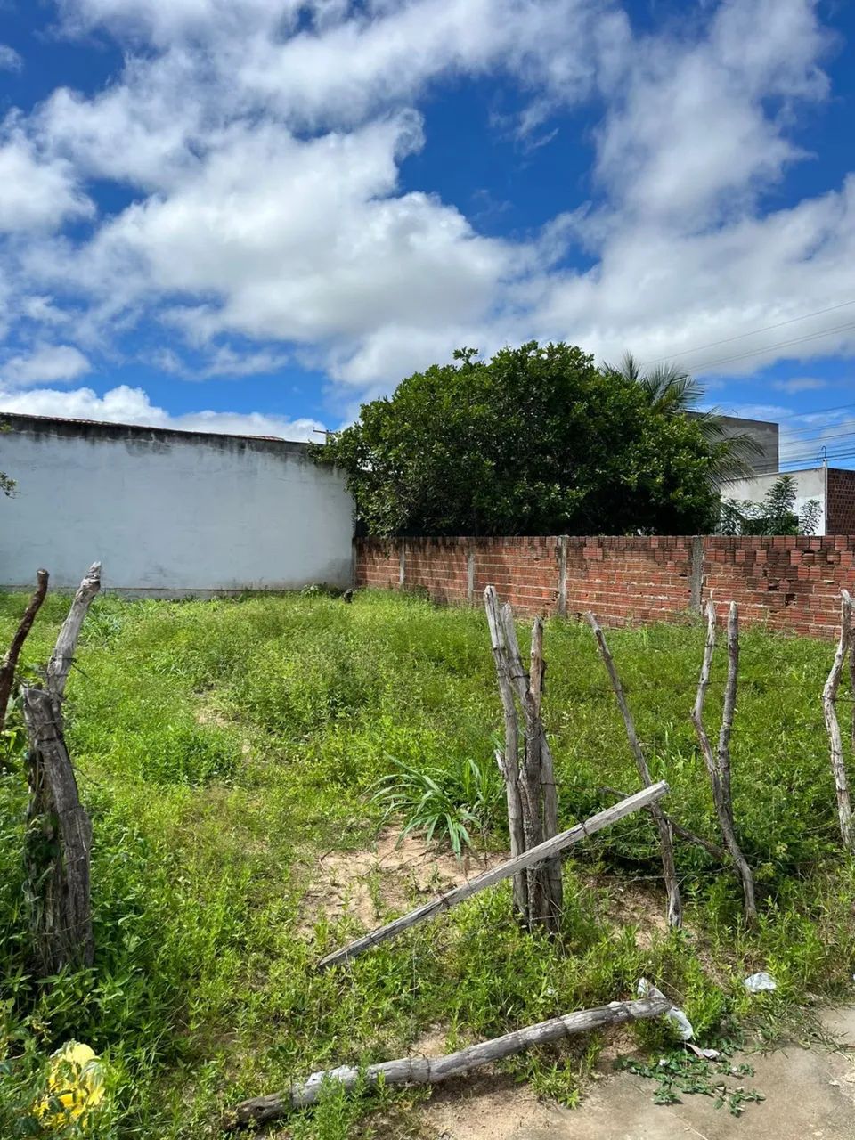 Terreno à venda  - Foto 4