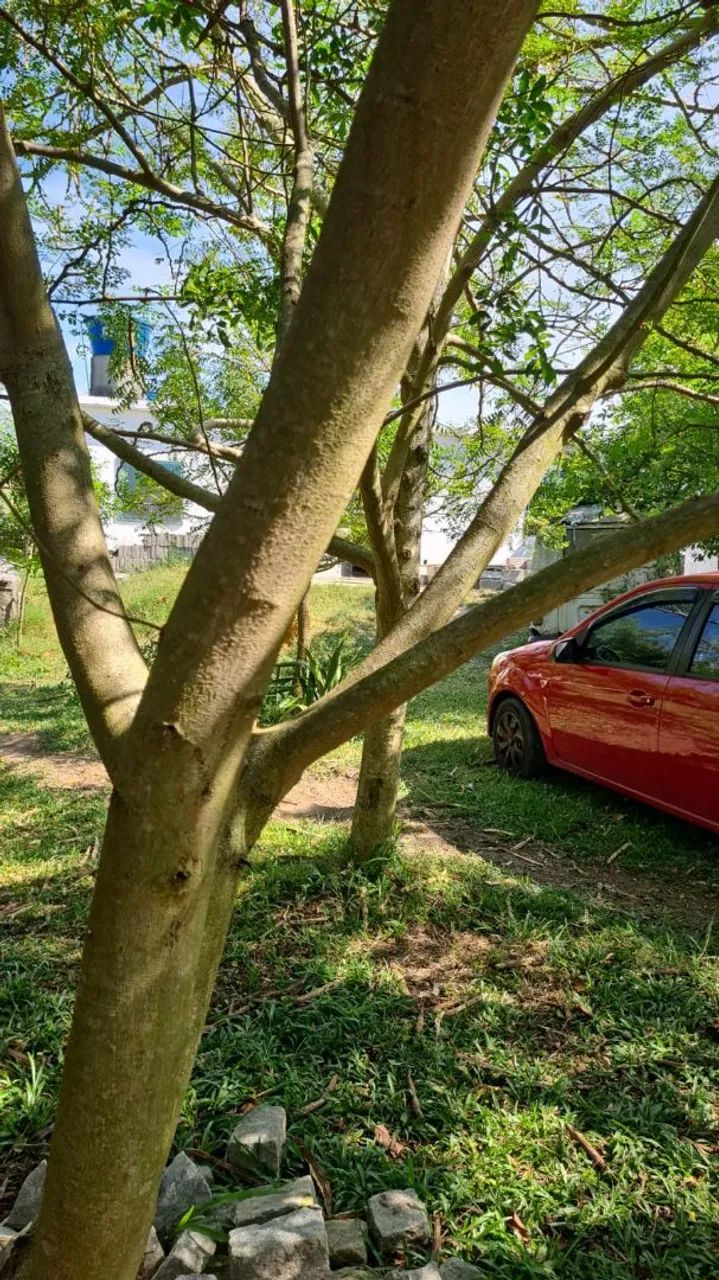 Vendo Área Rural 30.000m2 - Foto 4
