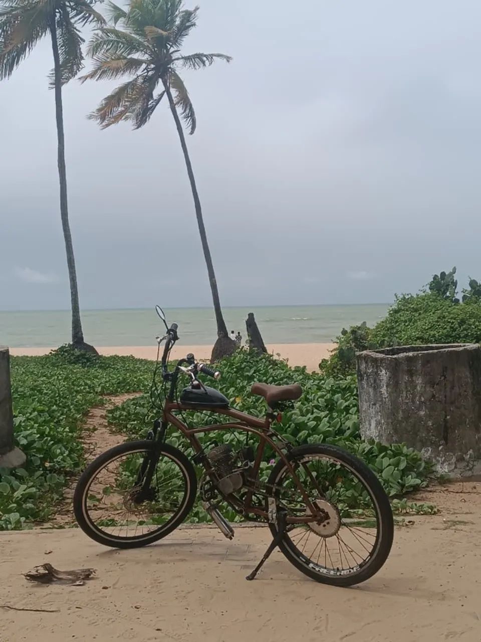 Bicicleta motorizada 98cc
