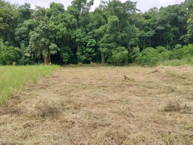 Terreno 950 m² - Foto 3