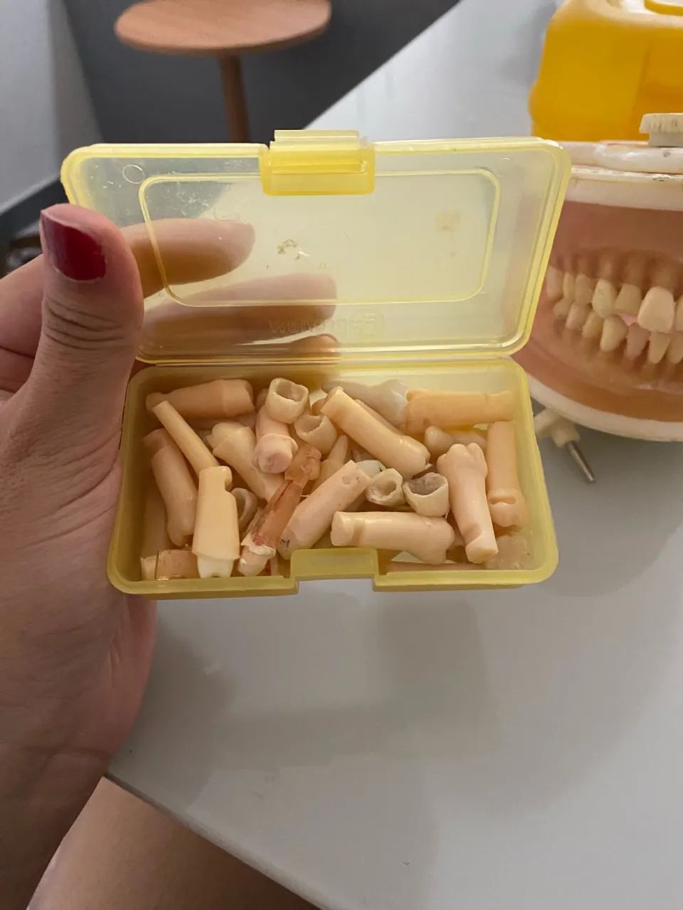 manequim pronew + dentes extras  - Foto 3