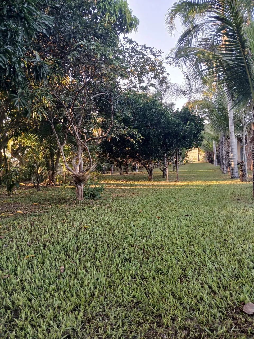 Ótima Chacara No Rio Urú - Foto 2