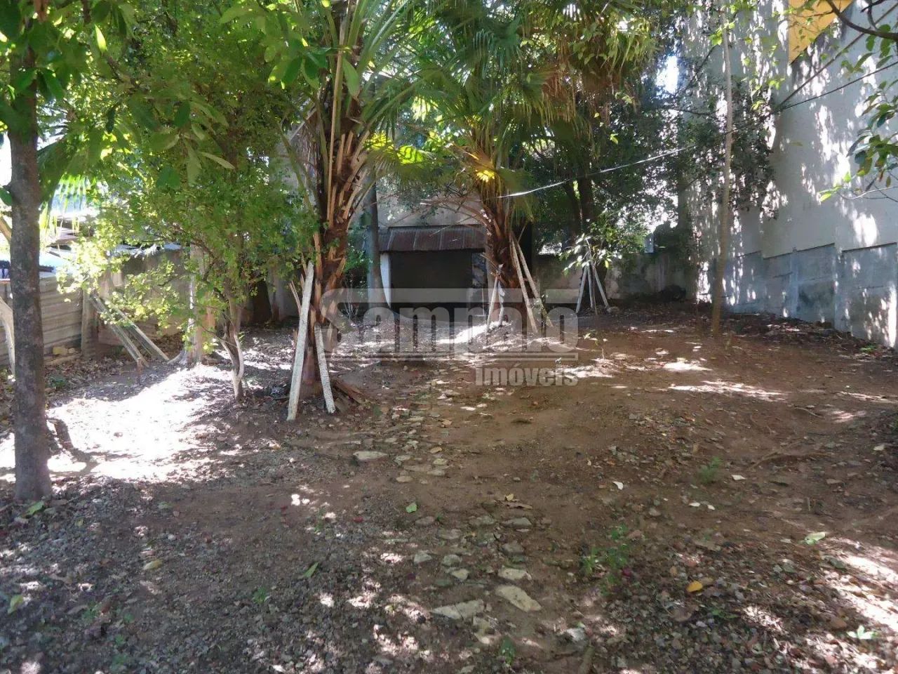 Campo Grande | Terreno - Foto 4