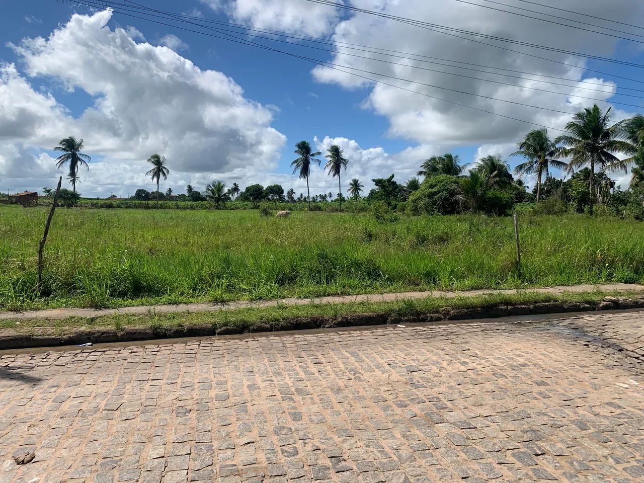 Terreno bom para chácara ou casa  - Foto 3