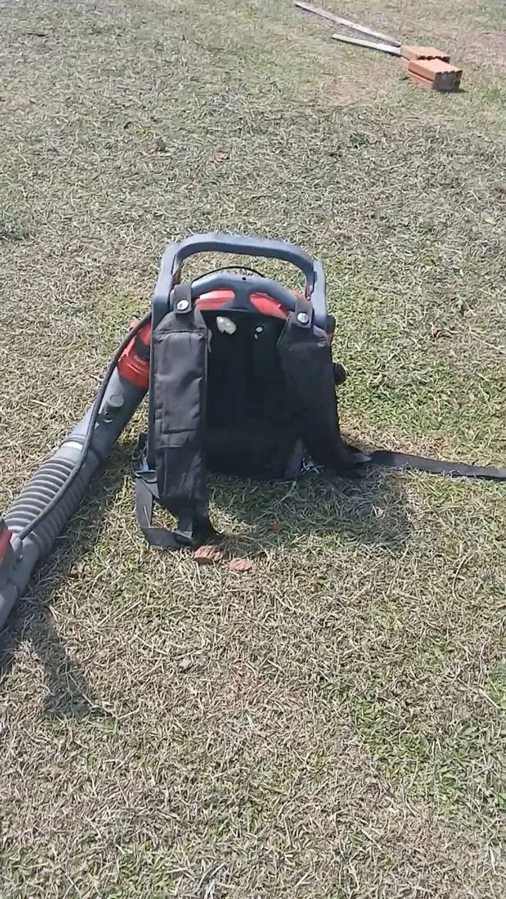 Soprador de Folhas 65138000645121122