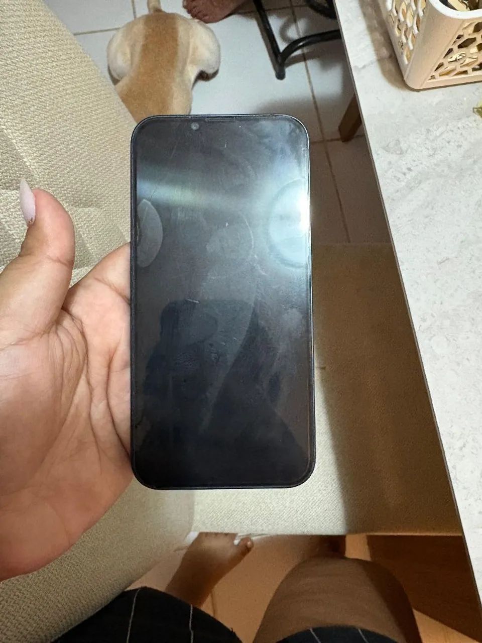 iPhone 13 