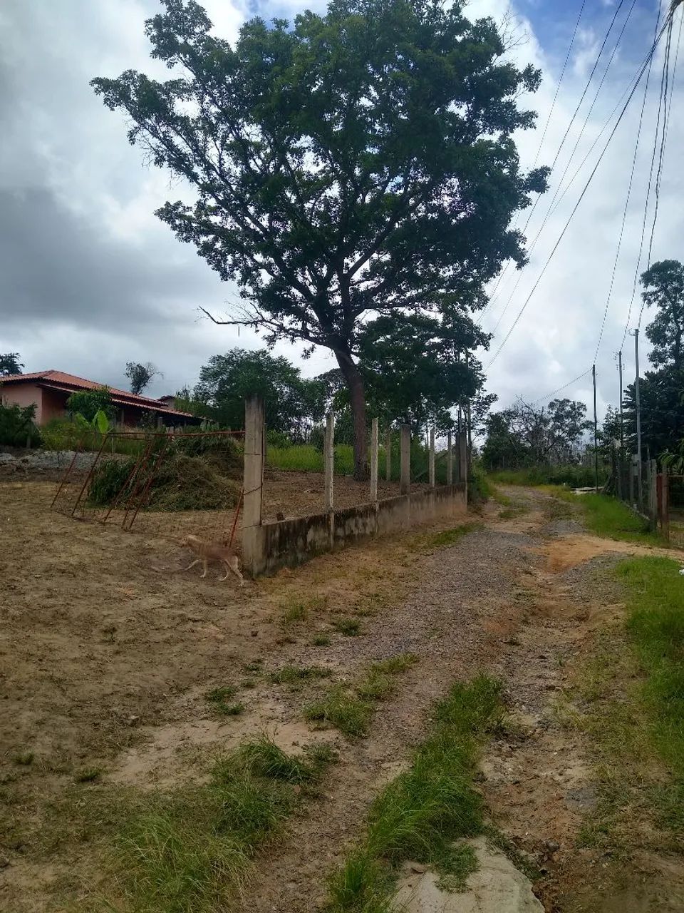 Chácara em Bom Jesus do Amparo  - Foto 4