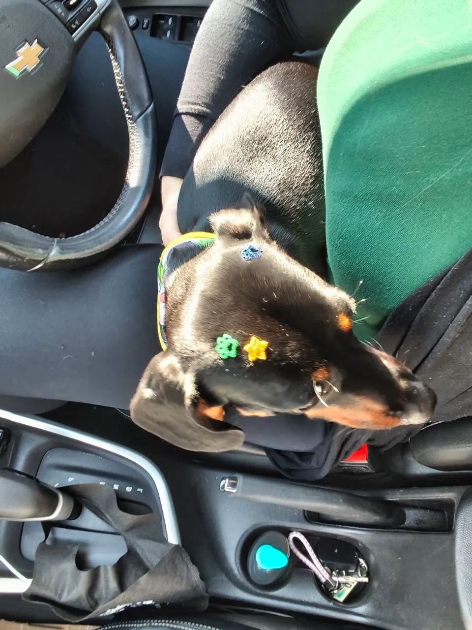 Procuro machinho para minha cofapi - Foto 4