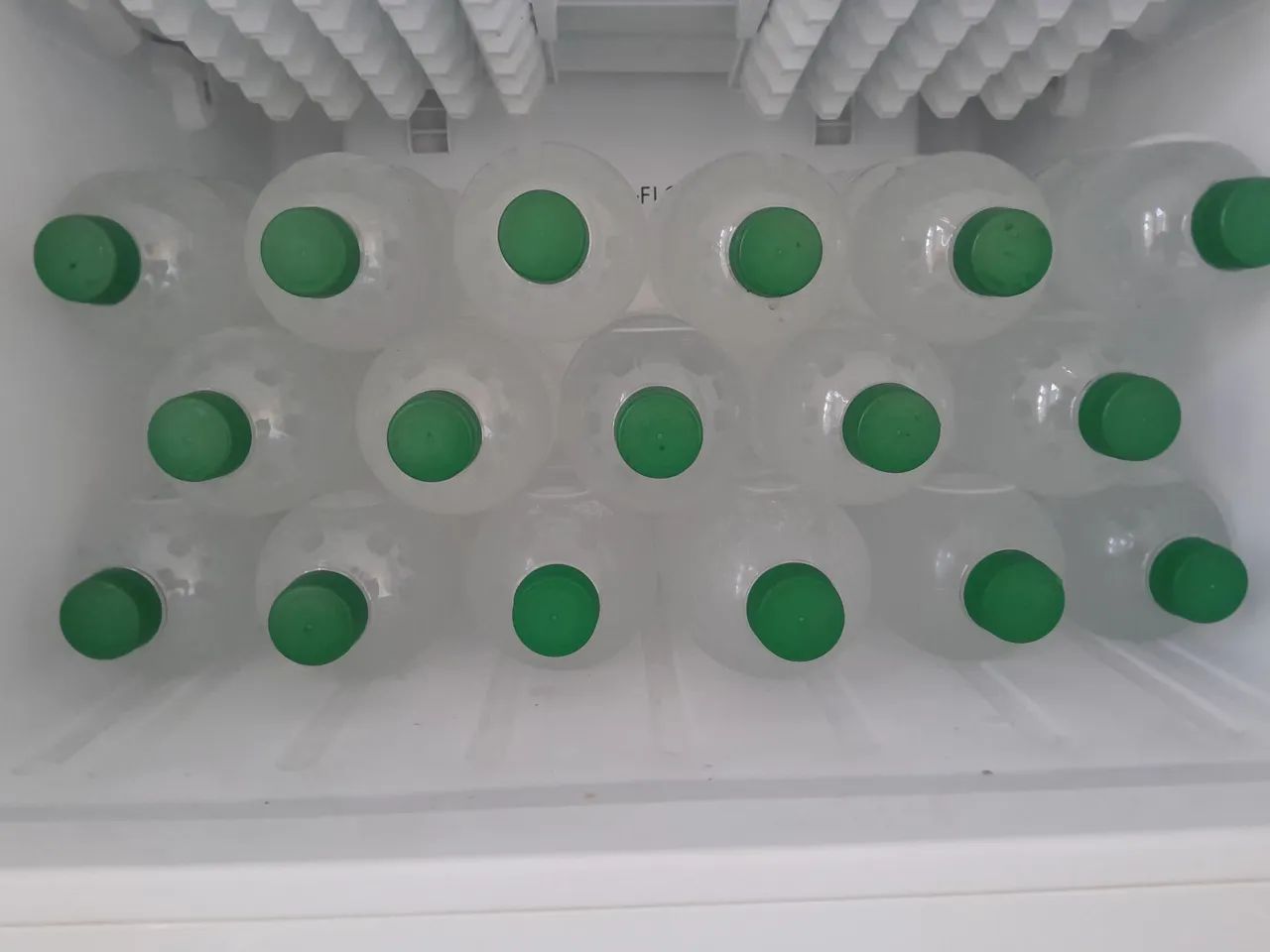 Água de coco geladinha é engarrafada  - Foto 2