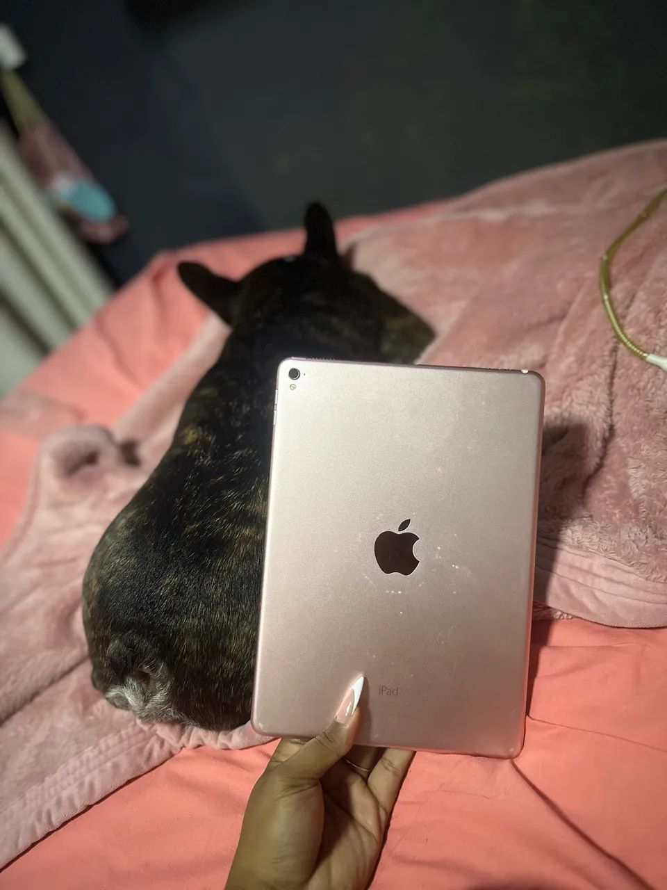 Ipad 9.7 (2016) - Foto 2