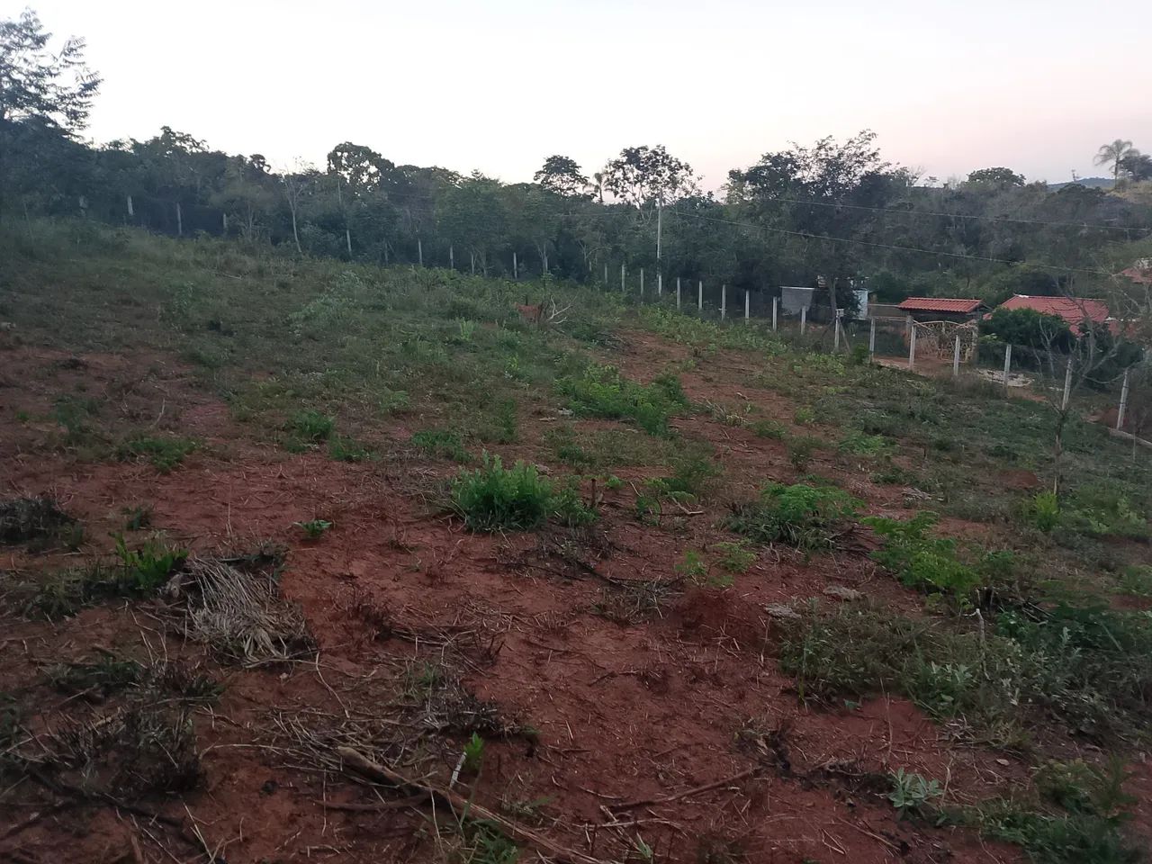 Lote em esmeraldas 
